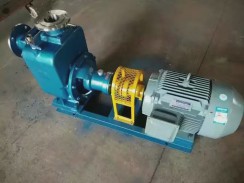 不鏽鋼(gang)自吸泵(beng)