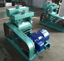 2BE水環(huan)真空(kong)泵